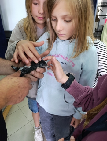 IMG_20250625_112813