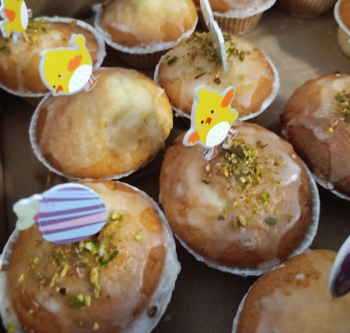 FB_IMG_1775008487729