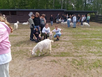 IMG-20260521-WA0003 (1)